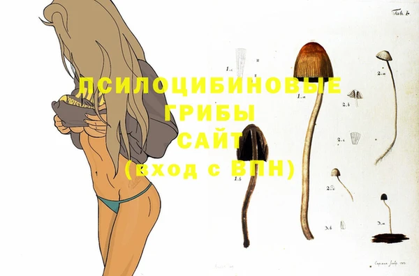 трава Алексин