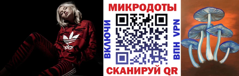 Псилоцибиновые грибы мухоморы  Лахденпохья 